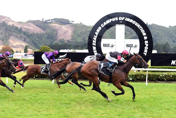 Puntura picks up another Group win