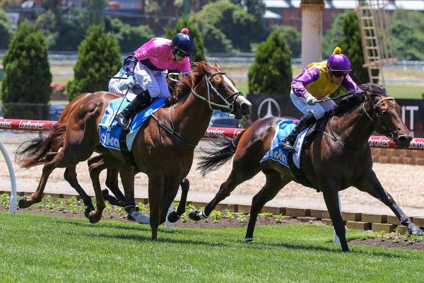 Raetihi goes all the way at The Valley