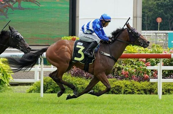 Star North gets deserved maiden win