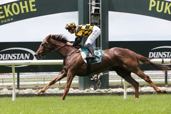 Future Cup contender trials well at Cambridge