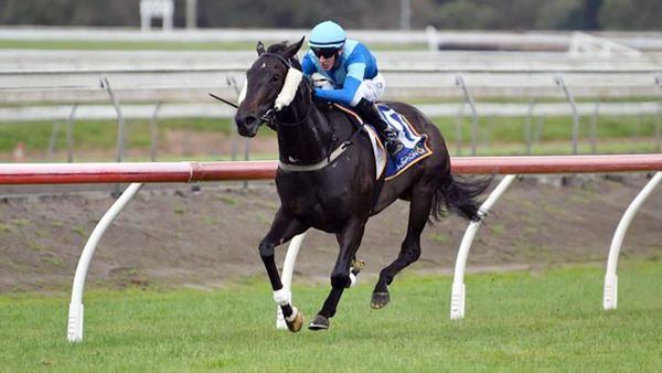 Volare looking to extend Williams’ winning run