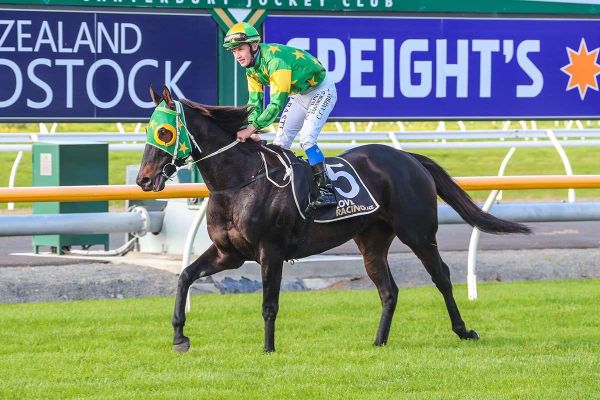 Capo Dell Impero defends Cromwell Cup crown