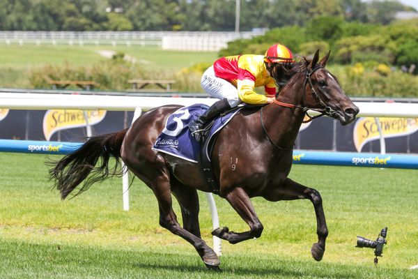 Black type beckons Eternal Flame