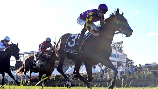 Patient approach paying off with God of Eros
