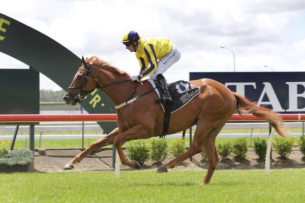 Grande Gallo on track for bigger targets