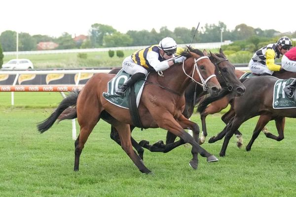 Up in trip ideal for Interlinked