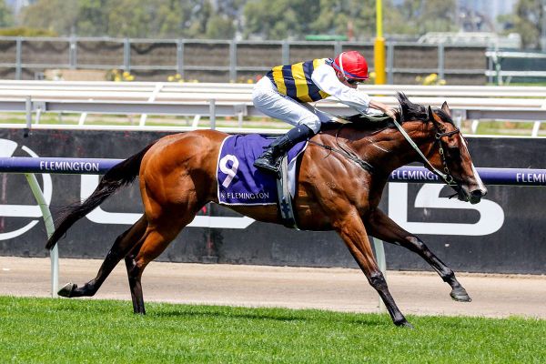 Up-and-comer Krementz strikes at Flemington