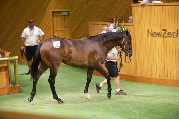 Richards to the fore on Day One at Karaka