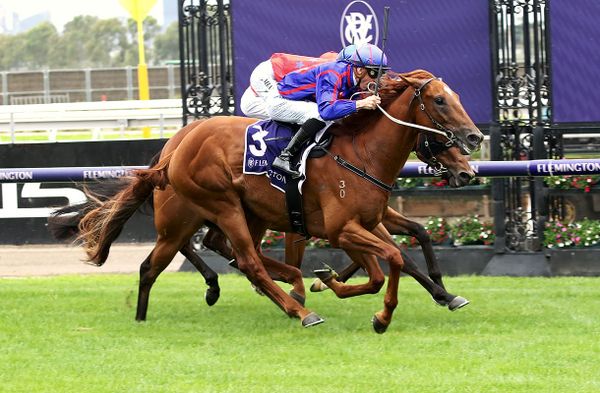 Raw Otago lands Flemington spoils
