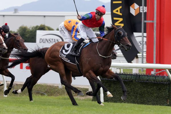 Sharp 'n' Smart looks to be back on track