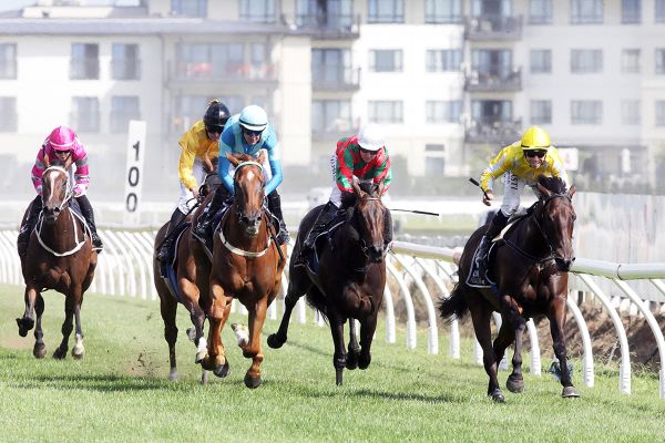 Crocetti a chance for Australian Guineas