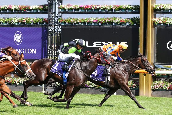 Te Akau to make presence felt at The Valley