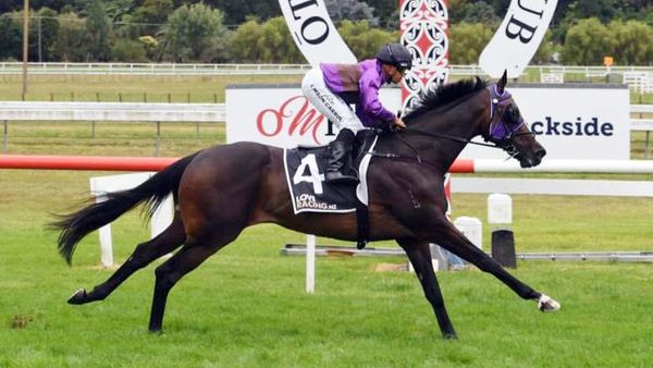 Latta taking good form into Hastings meeting