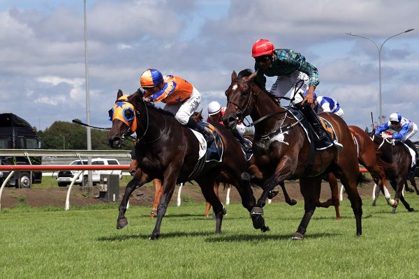 Kiwi three-year-old primed for Australian Guineas