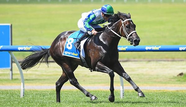 Busuttin and Young Rocking Sandown