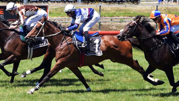 Skyman after first NZ win