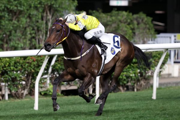 Son of What’s The Story impresses on HK debut