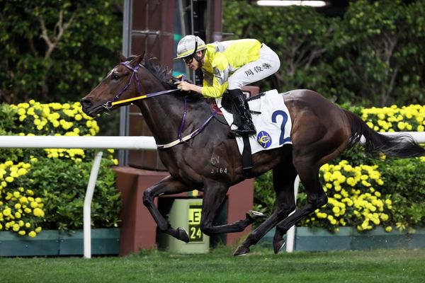 Perfect start for talented Kiwi import