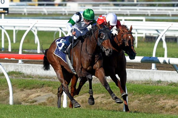 Little Avondale set to celebrate Lowland Stakes