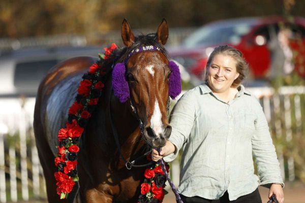 Jeffries enhances broodmare band with Live Drama purchase