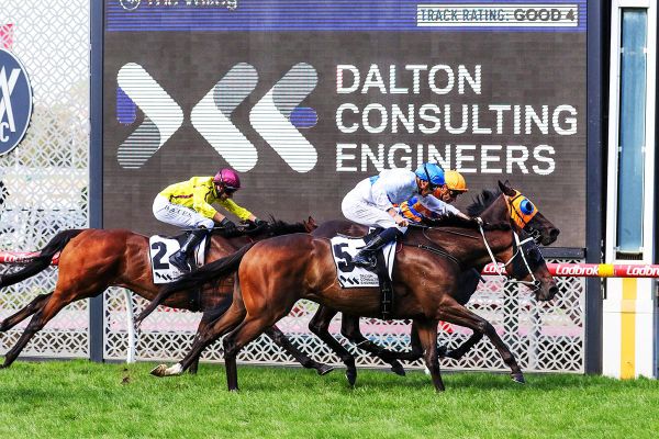 Coast loving life in Australia