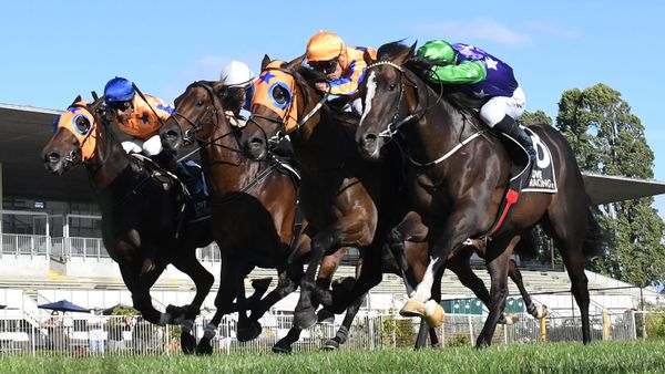 Te Akau looking to regain Derby Throne