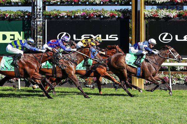Top families continue to perform for Stud