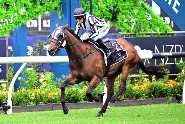 Belclare to make Australian return