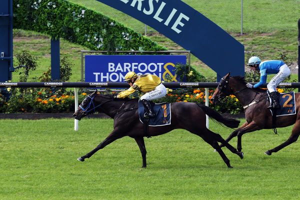 Cup Day triumph for Butterfield