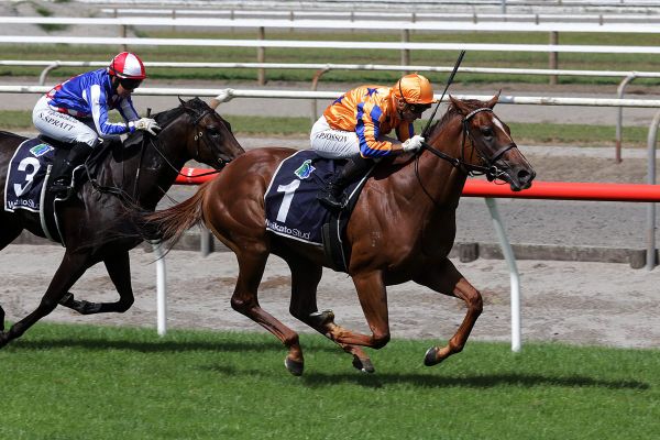 Te Akau filly up for Group One challenge
