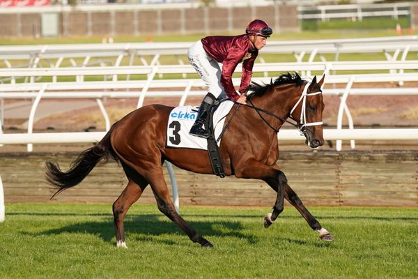 Stokes locks in Star's spring targets