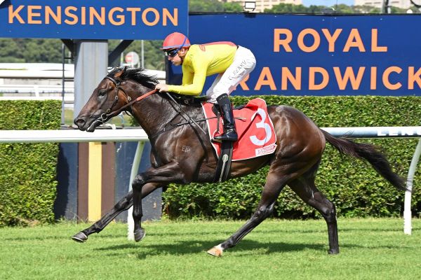 Darn good winner for Elsdon Park