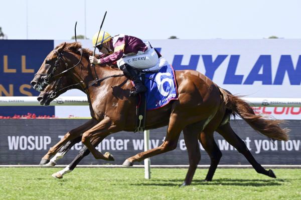 Seth’s Super start leads to Champagne starter