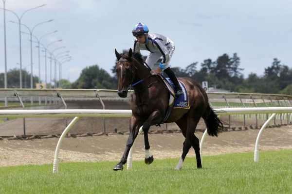 Lupo Solitario sold to Hong Kong interests