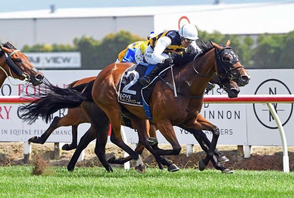 Kingsclere after first Auckland Cup
