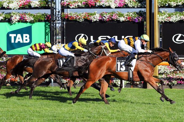 Wellwood to go slow with Twain