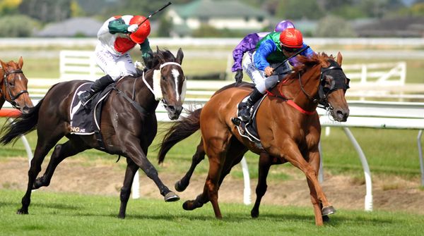 Marroni ready for Raceday return