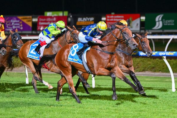 Future bright for Stars winner