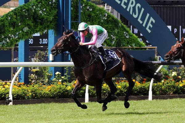 Forsman feeling positive with trio ahead of Oaks