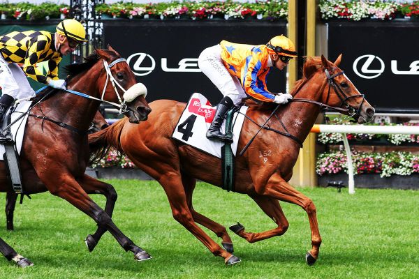 Hat Trick for Sans Doute