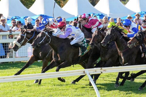 Savannah wins high-class Discovery