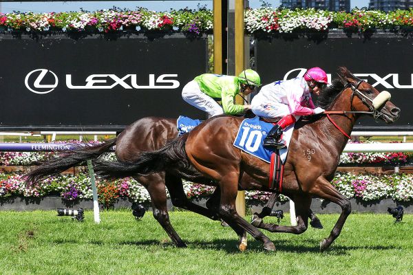 Von Hauke going for Bendigo Gold