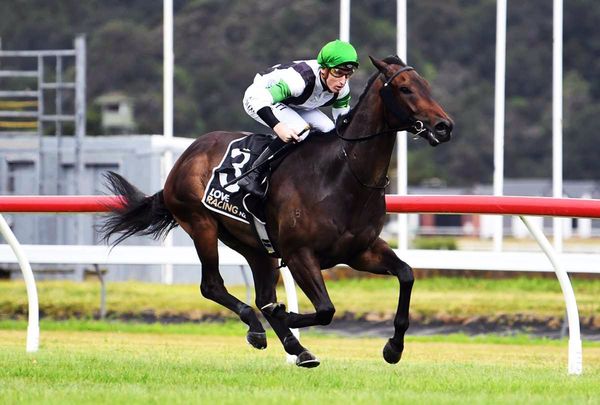 Wellington to suit Witz End