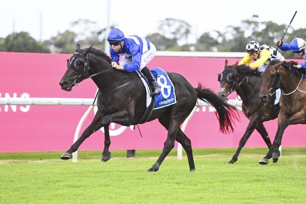 Wymark possible Derby dark horse
