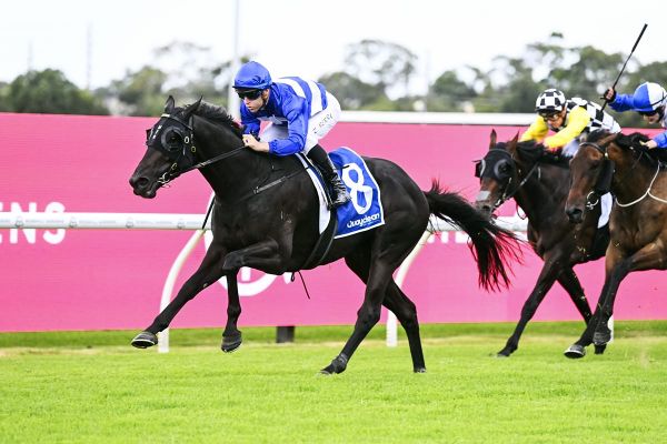 Derby path for Savabeel’s Wymark