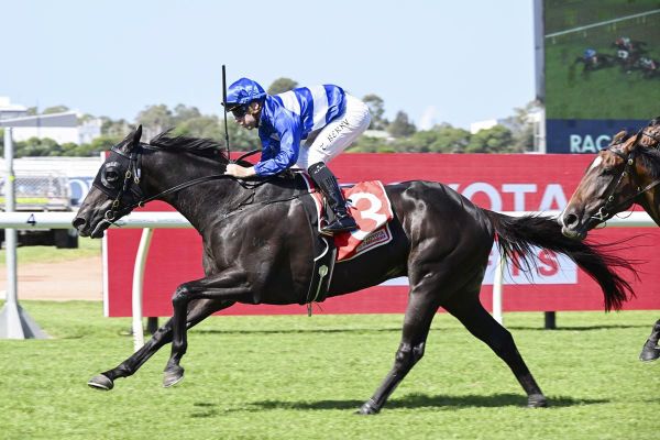 Freedman’s Derby hope has Mark of a good horse