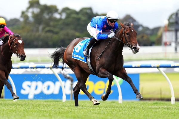 Sutton unveils another impressive juvenile