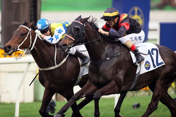 Ricky Yiu hopes Nimble Nimbus can advance in FWD QEII Cup
