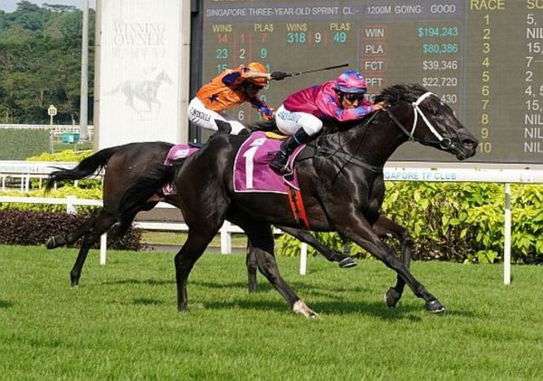 Ace Of Diamonds impressive win at Kranji