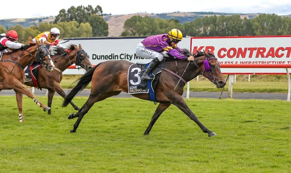 Robinson to have strong representation at Ashburton